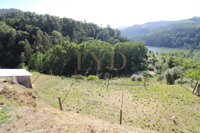 Quinta T2 para Venda em Santa Maria de Sardoura