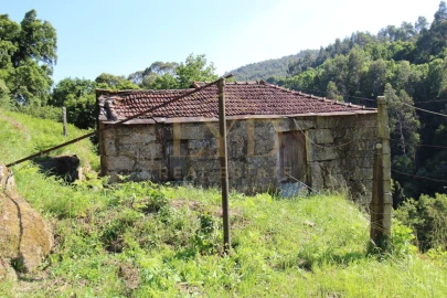 Quinta T2 para Venda em Santa Maria de Sardoura