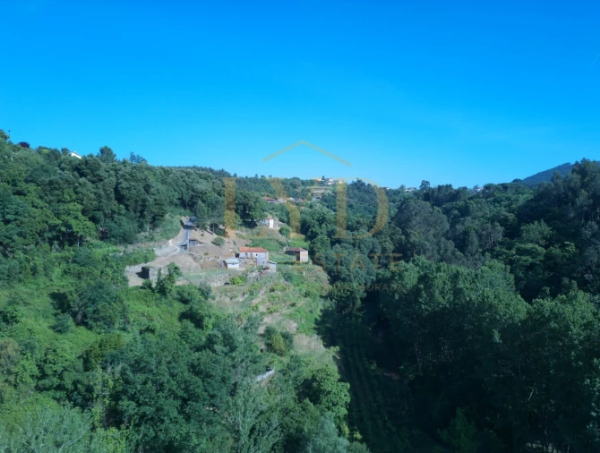 Quinta T2 para Venda em Santa Maria de Sardoura Foto 6