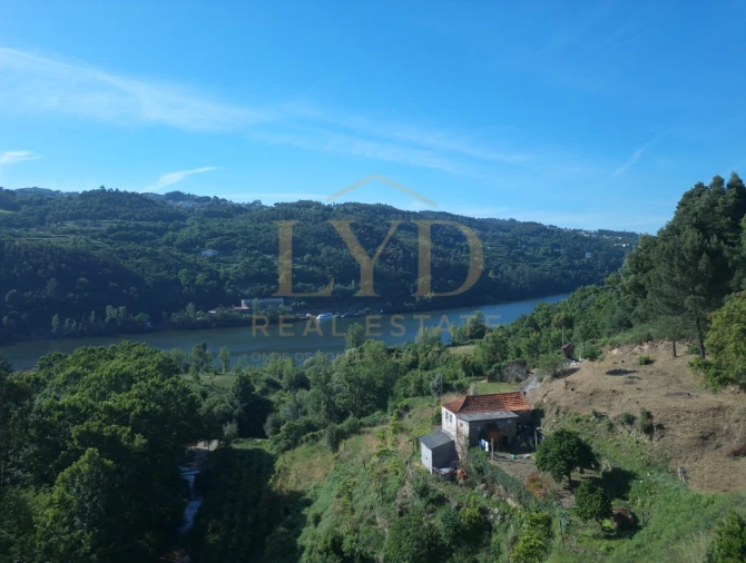 Quinta T2 para Venda em Santa Maria de Sardoura Foto 11