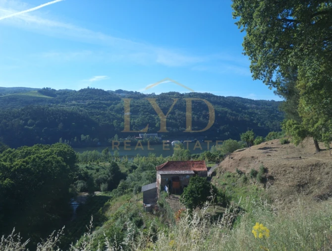 Quinta T2 para Venda em Santa Maria de Sardoura Foto 13