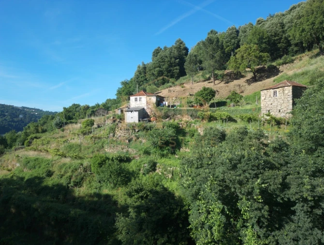 Quinta T2 para Venda em Santa Maria de Sardoura Foto 15