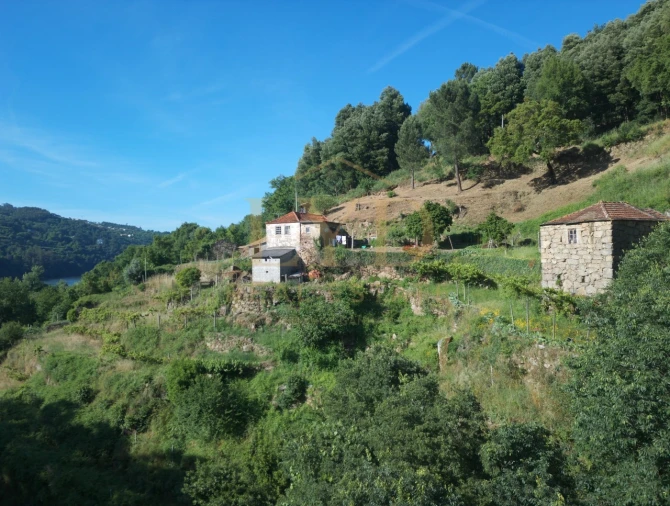 Quinta T2 para Venda em Santa Maria de Sardoura Foto 17