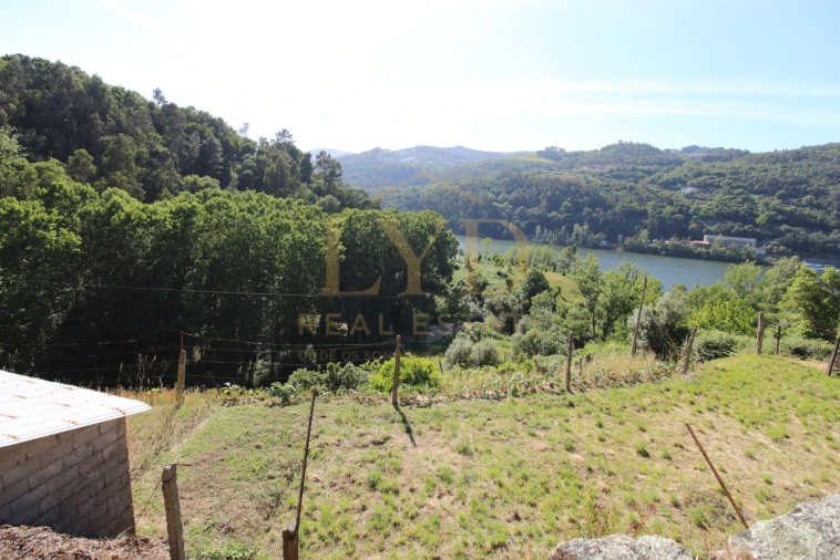 Quinta T2 para Venda em Santa Maria de Sardoura Foto 21