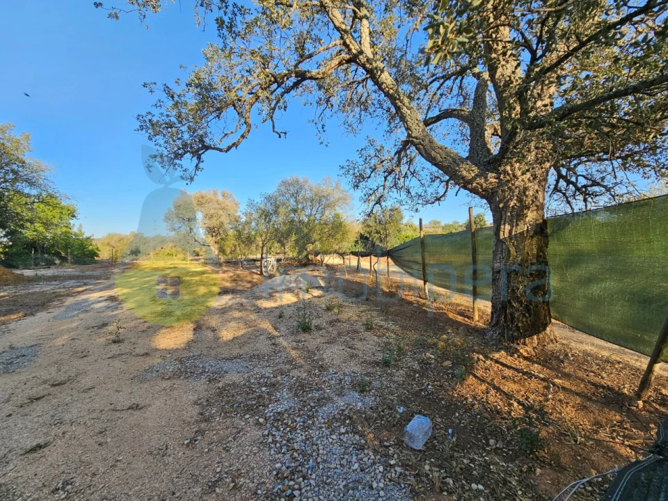 Terreno Agricola ou Rústico para Venda em Algoz e Tunes Foto 2
