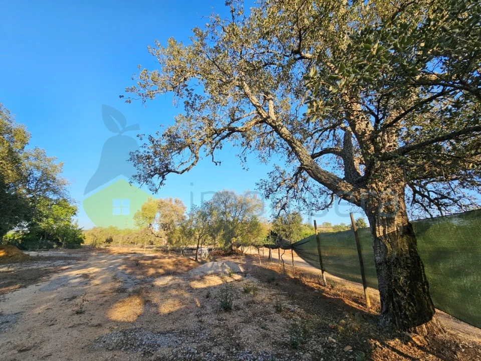 Terreno Agricola ou Rústico para Venda em Algoz e Tunes Foto 3