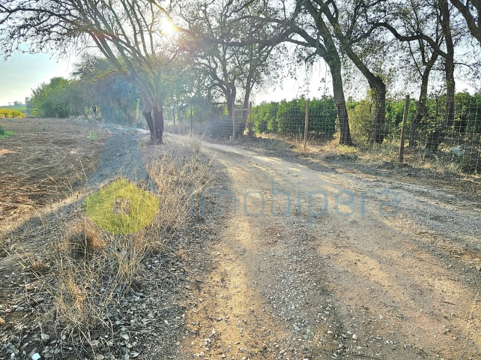 Terreno Agricola ou Rústico para Venda em Algoz e Tunes Foto 4