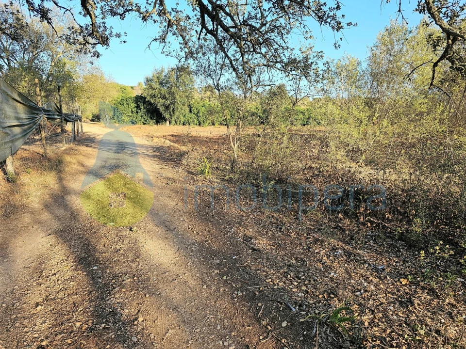 Terreno Agricola ou Rústico para Venda em Algoz e Tunes Foto 6