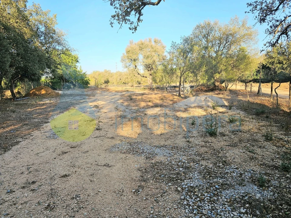 Terreno Agricola ou Rústico para Venda em Algoz e Tunes Foto 7