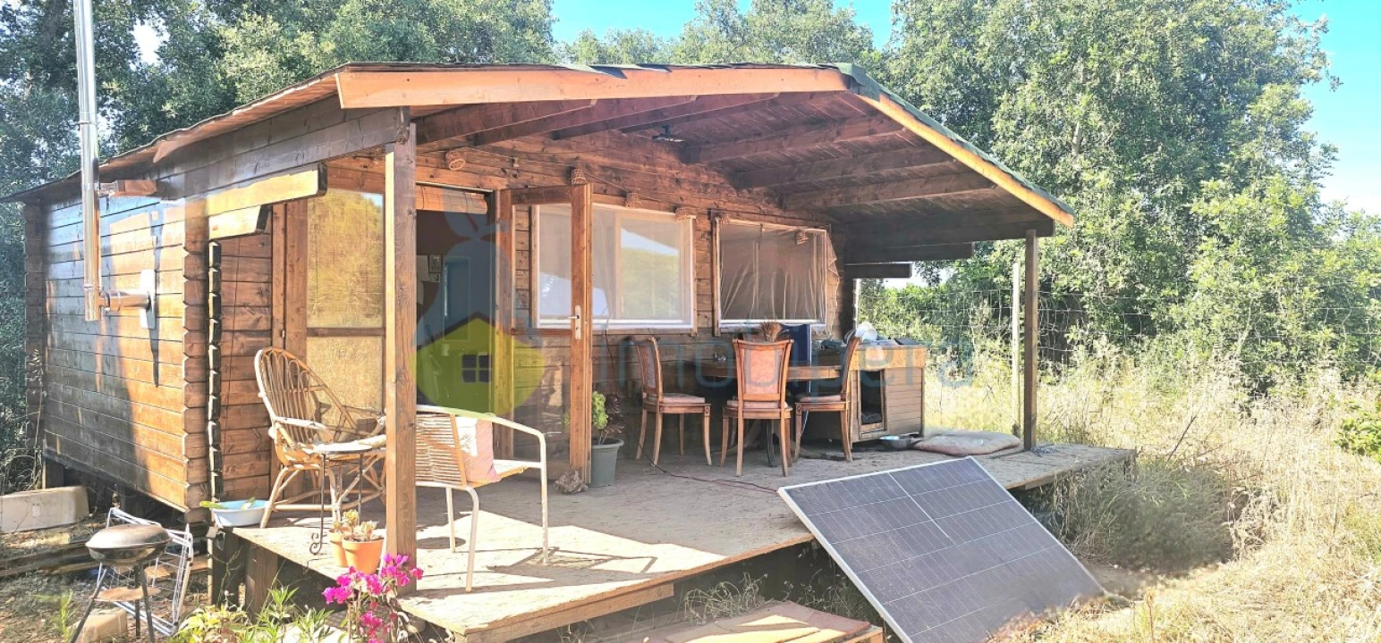 Terreno Agricola ou Rústico para Venda em Algoz e Tunes Foto 10
