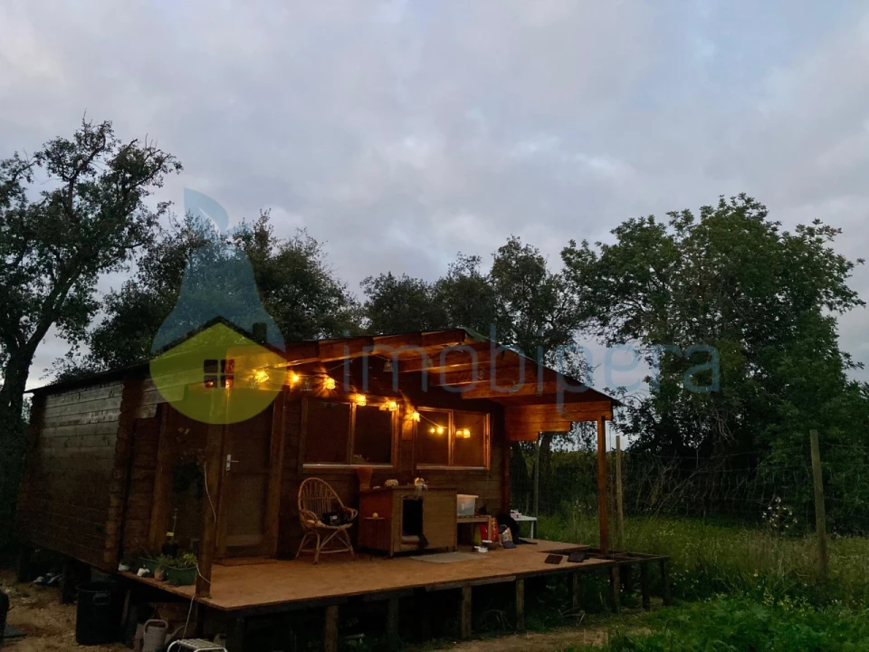 Terreno Agricola ou Rústico para Venda em Algoz e Tunes Foto 12