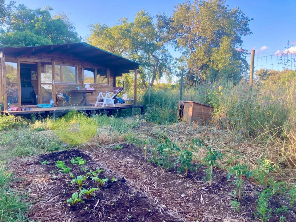 Terreno Agricola ou Rústico para Venda em Algoz e Tunes Foto 14