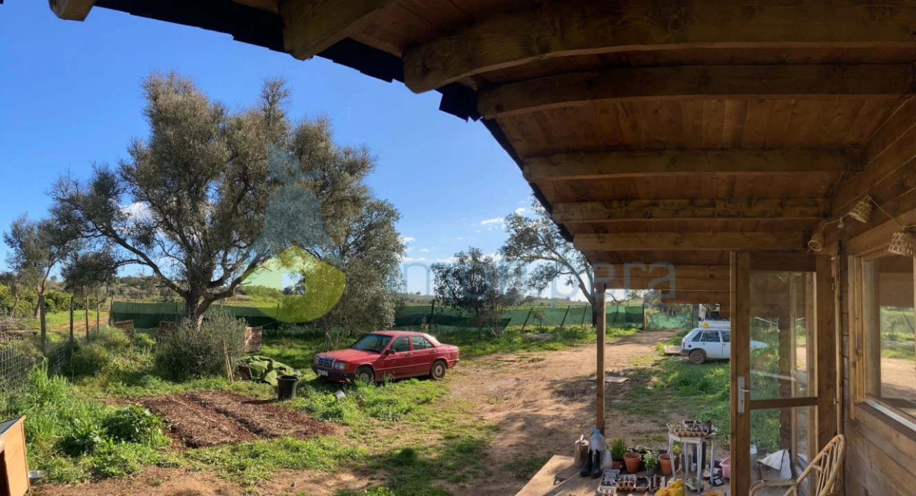 Terreno Agricola ou Rústico para Venda em Algoz e Tunes Foto 18