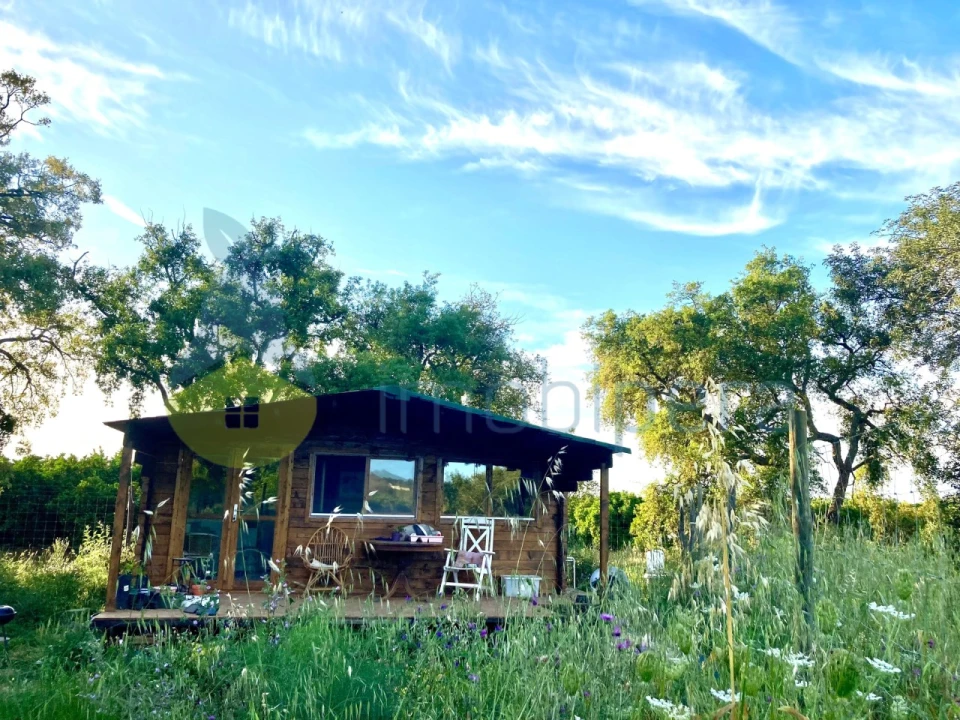 Terreno Agricola ou Rústico para Venda em Algoz e Tunes Foto 1