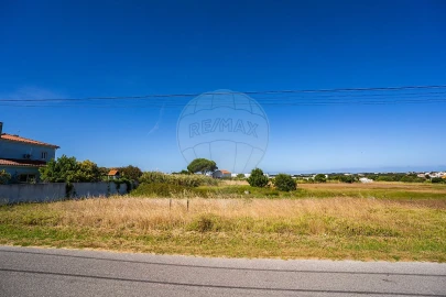 Terreno para Venda em Nadadouro