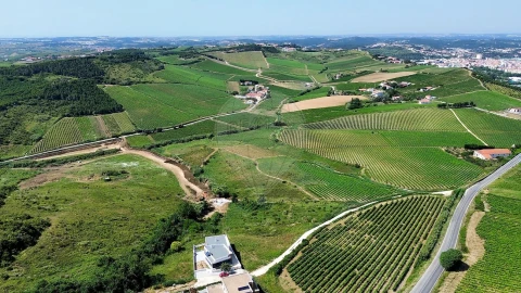 Terreno para Venda em Santa Maria, São Pedro e Matacães