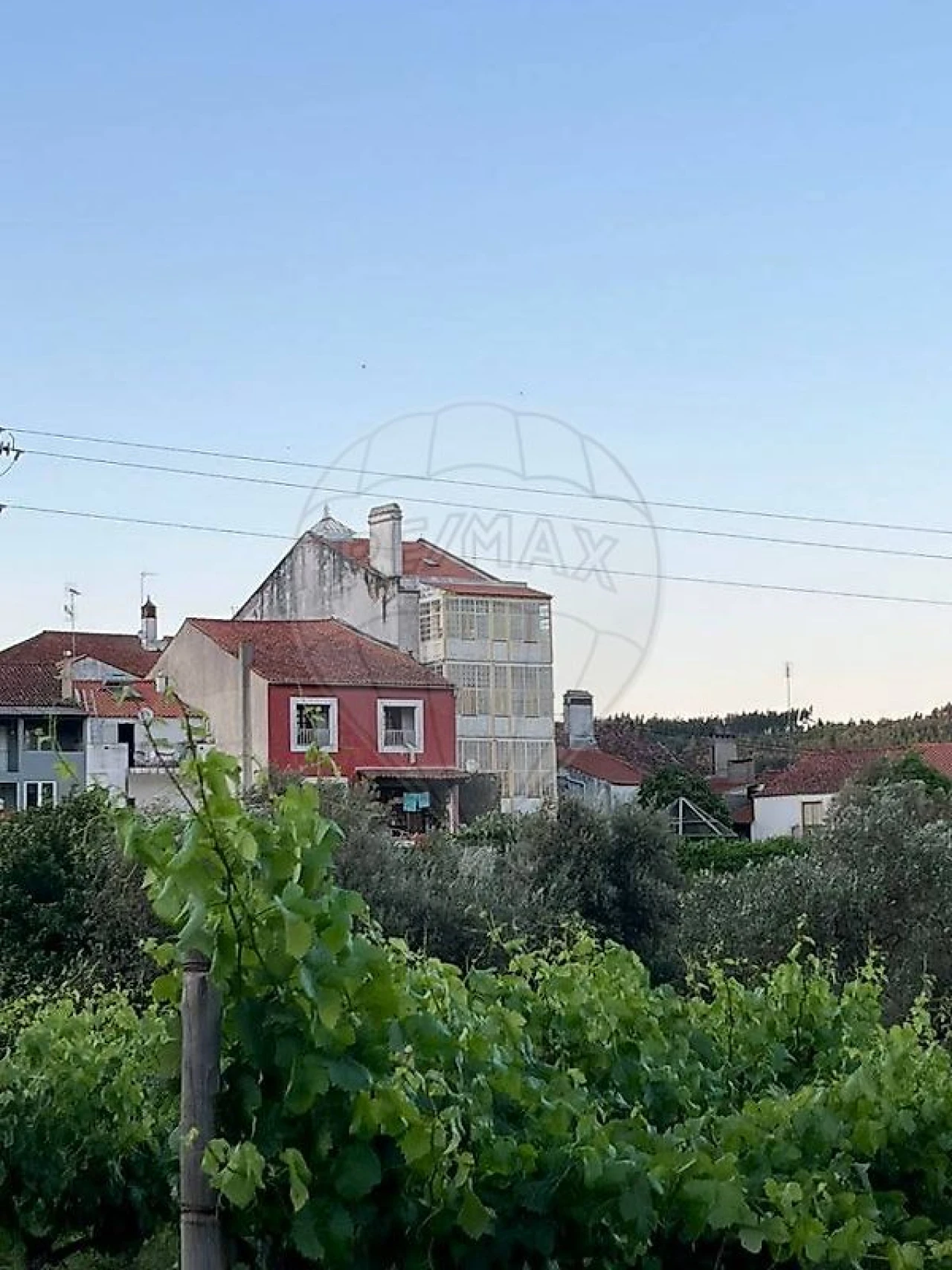 Prédio para Venda em Carvoeiro Foto 23