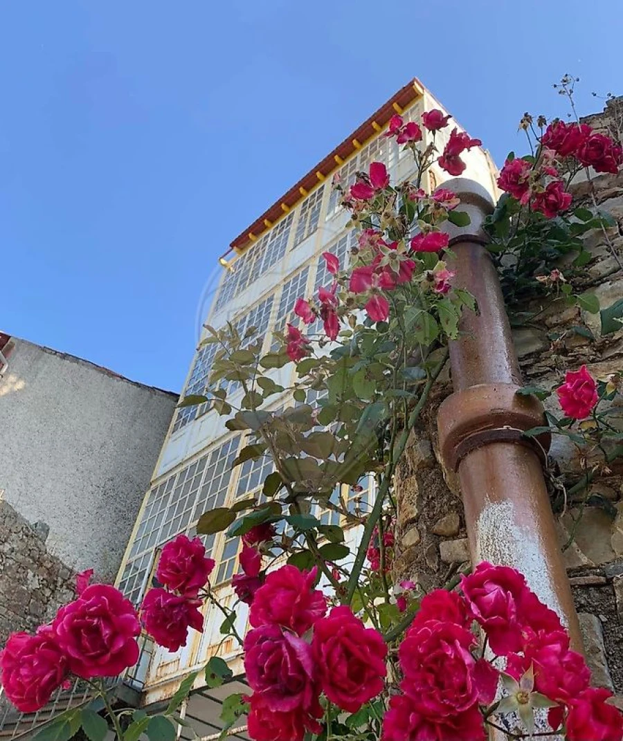 Prédio para Venda em Carvoeiro Foto 30