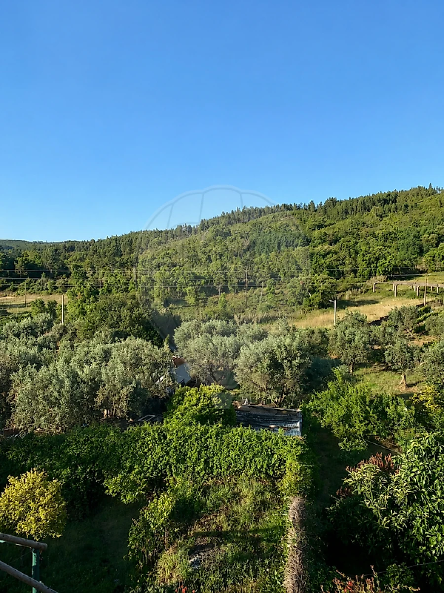 Prédio para Venda em Carvoeiro Foto 25