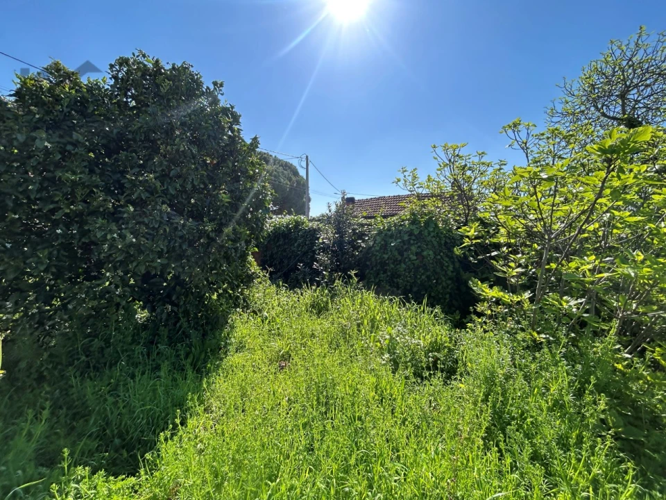 Moradia T3 para Venda em Lourinhã e Atalaia Foto 8