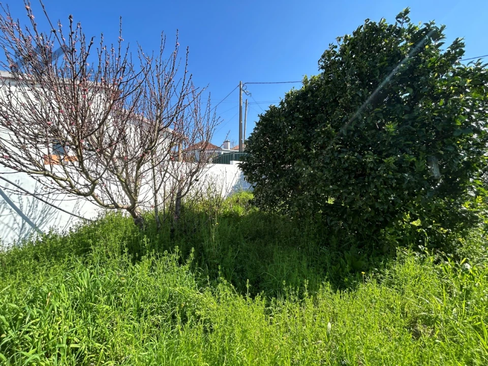 Moradia T3 para Venda em Lourinhã e Atalaia Foto 9
