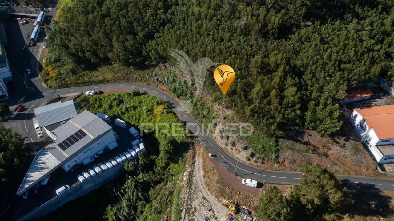 Terreno para Venda em Caniço Foto 14