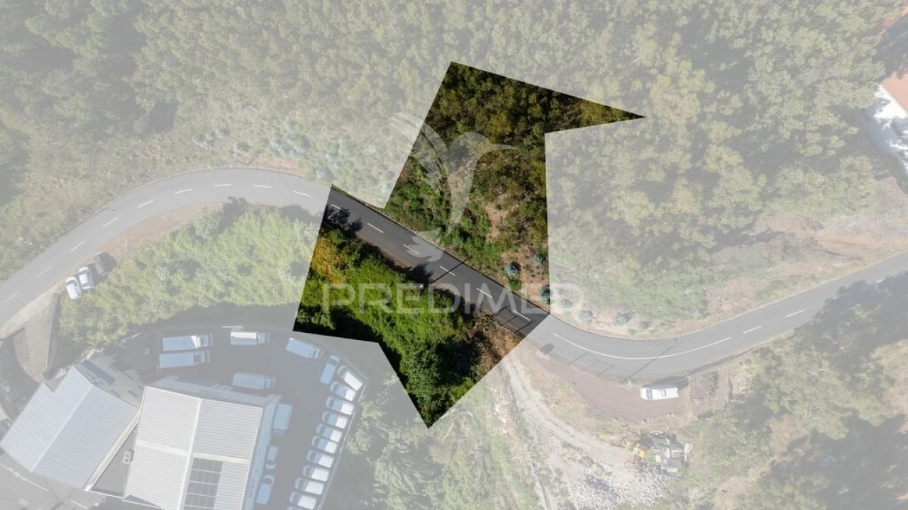 Terreno para Venda em Caniço Foto 6