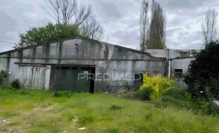 Quinta para Venda em Galegos