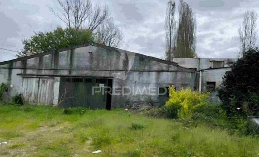 Quinta para Venda em Galegos Foto 2
