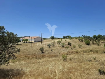 Quinta T6 para Venda em Capelins (Santo Antonio)