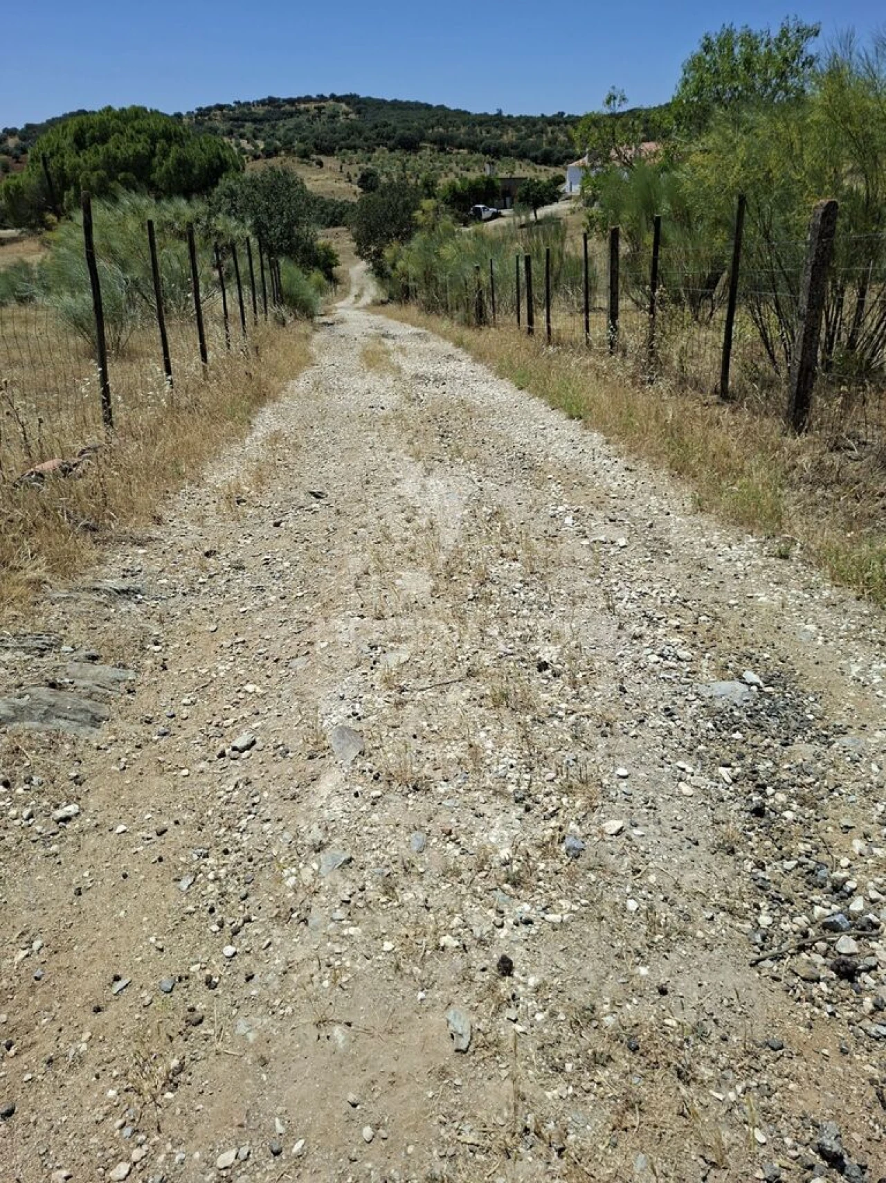Quinta T6 para Venda em Capelins (Santo Antonio) Foto 2