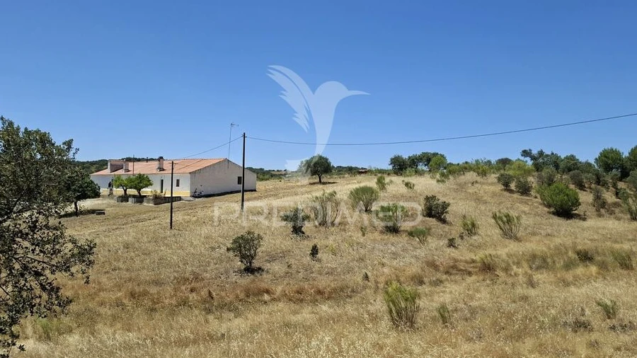 Quinta T6 para Venda em Capelins (Santo Antonio)