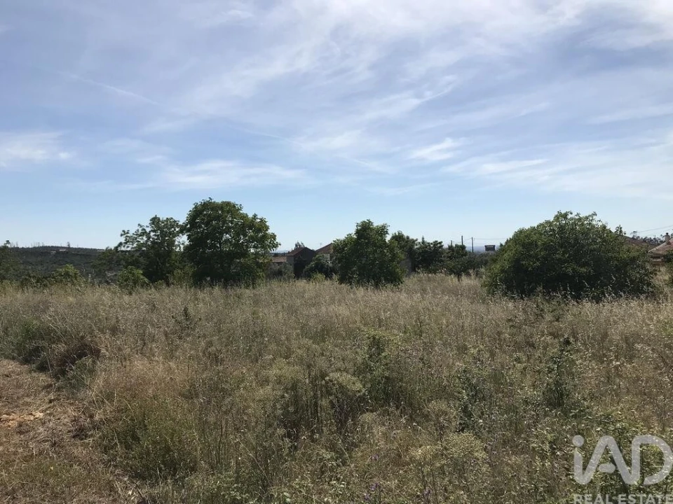 Terreno para Venda em Colmeias e Memória Foto 8