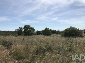 Terreno para Venda em Colmeias e Memória