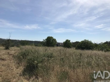Terreno para Venda em Colmeias e Memória
