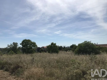 Terreno para Venda em Colmeias e Memória