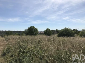 Terreno para Venda em Colmeias e Memória