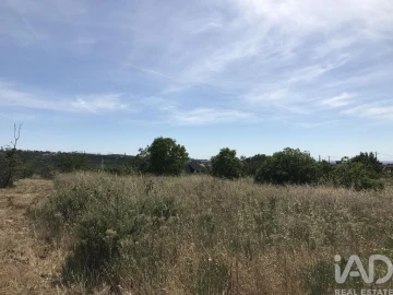 Terreno para Venda em Colmeias e Memória