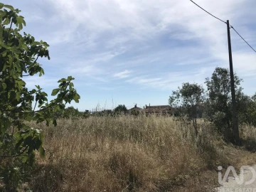 Terreno para Venda em Colmeias e Memória