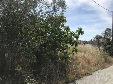 Terreno para Venda em Colmeias e Memória