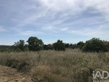 Terreno para Venda em Colmeias e Memória