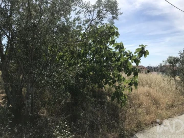 Terreno para Venda em Colmeias e Memória