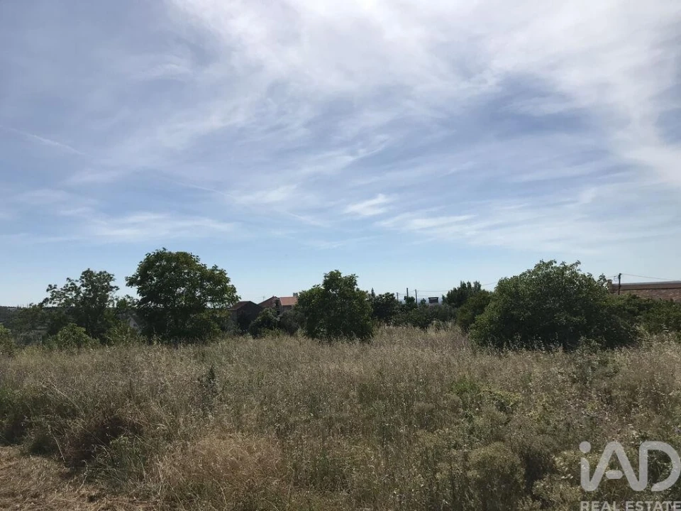 Terreno para Venda em Colmeias e Memória Foto 7