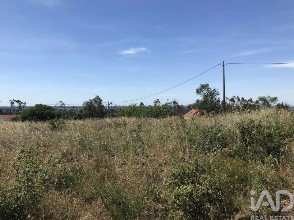 Terreno para Venda em Colmeias e Memória Foto 1