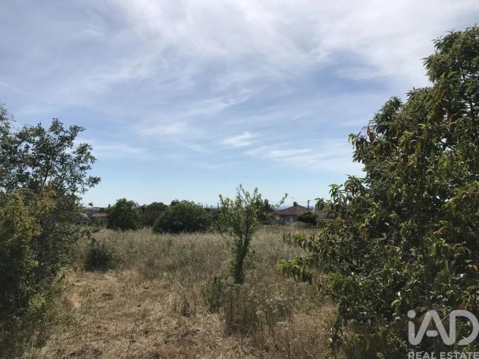 Terreno para Venda em Colmeias e Memória Foto 10