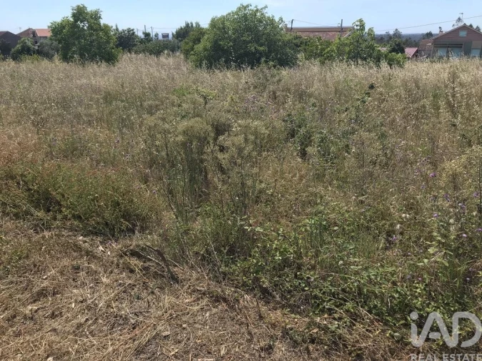 Terreno para Venda em Colmeias e Memória Foto 14