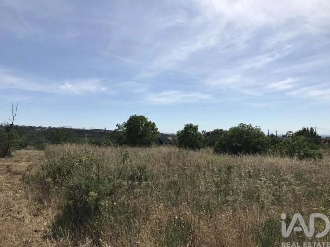 Terreno para Venda em Colmeias e Memória Foto 6