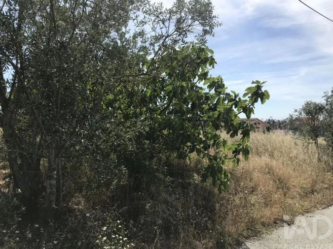 Terreno para Venda em Colmeias e Memória Foto 2