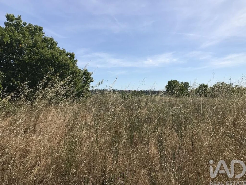 Terreno para Venda em Colmeias e Memória Foto 5