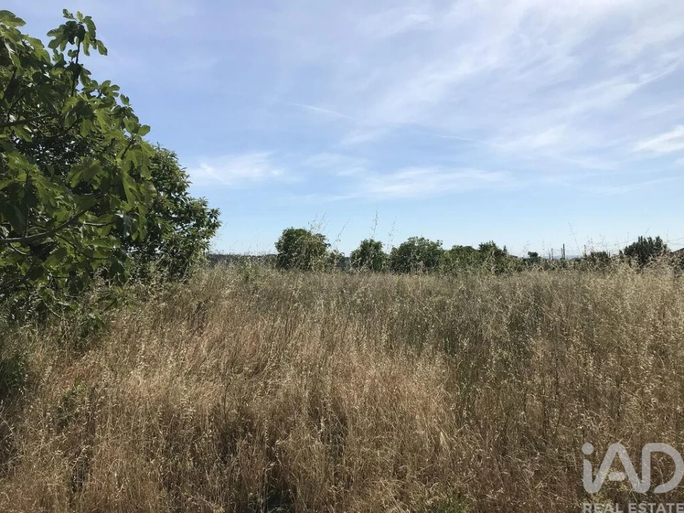 Terreno para Venda em Colmeias e Memória Foto 4